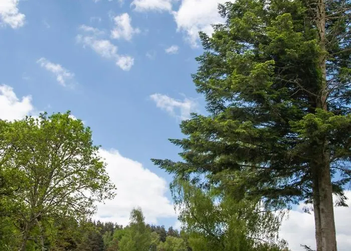 24 Personnes - Domaine De Coulagnettes * Serverette